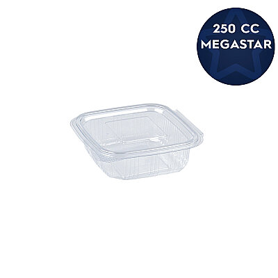 Megastar Sızdırmaz Gıda Kabı 250 cc - 1