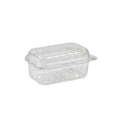 Plastik Kapaklı Meyve (Şale) Kabı 250 gr - Limera